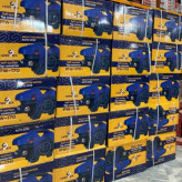 کارواش 170 بار حرفه ای هاردکس اصلی دینامی