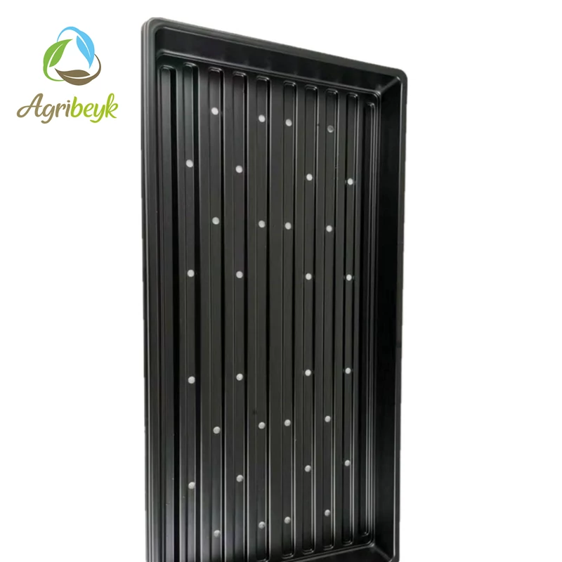 سینی کشت میکروگرین / Heavy Duty ( بسته 10 عددی )