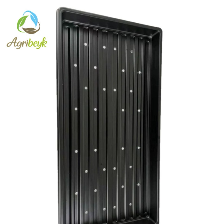 سینی کشت میکروگرین / Heavy Duty ( بسته 10 عددی )