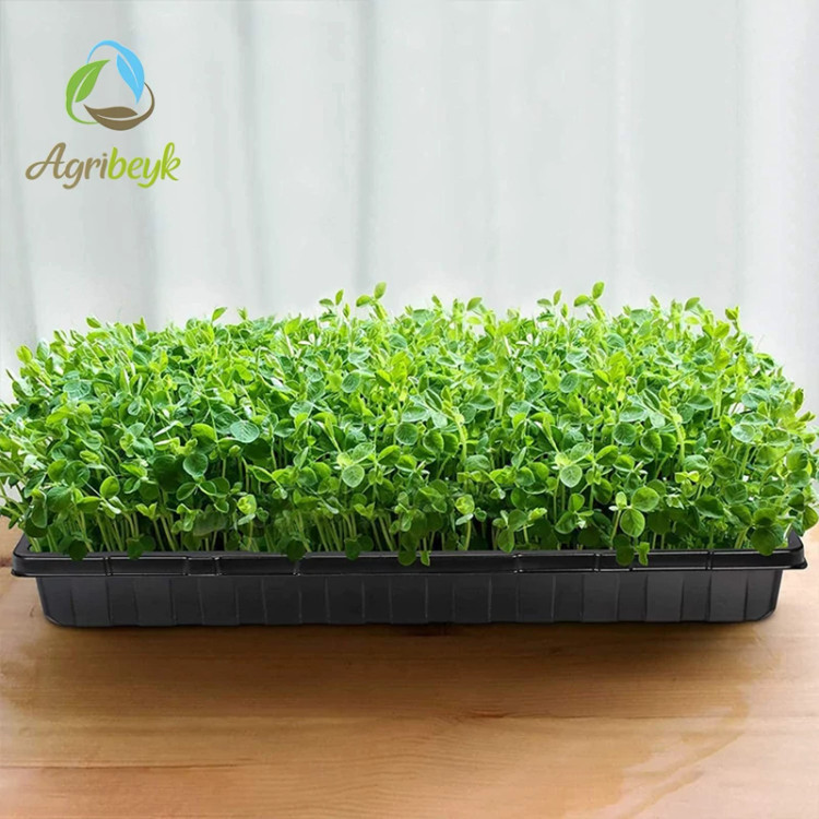 سینی کشت میکروگرین / Heavy Duty ( بسته 10 عددی )