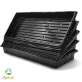 سینی کشت میکروگرین / Heavy Duty ( بسته 10 عددی )