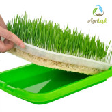 سینی کشت میکرو گیرین خانگی ست سبز و سفید