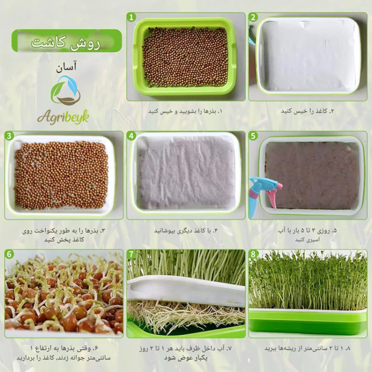 سینی کشت میکرو گیرین خانگی ست سبز و سفید