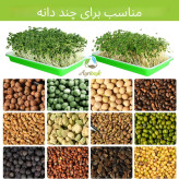 سینی کشت میکرو گیرین خانگی ست سبز و سفید