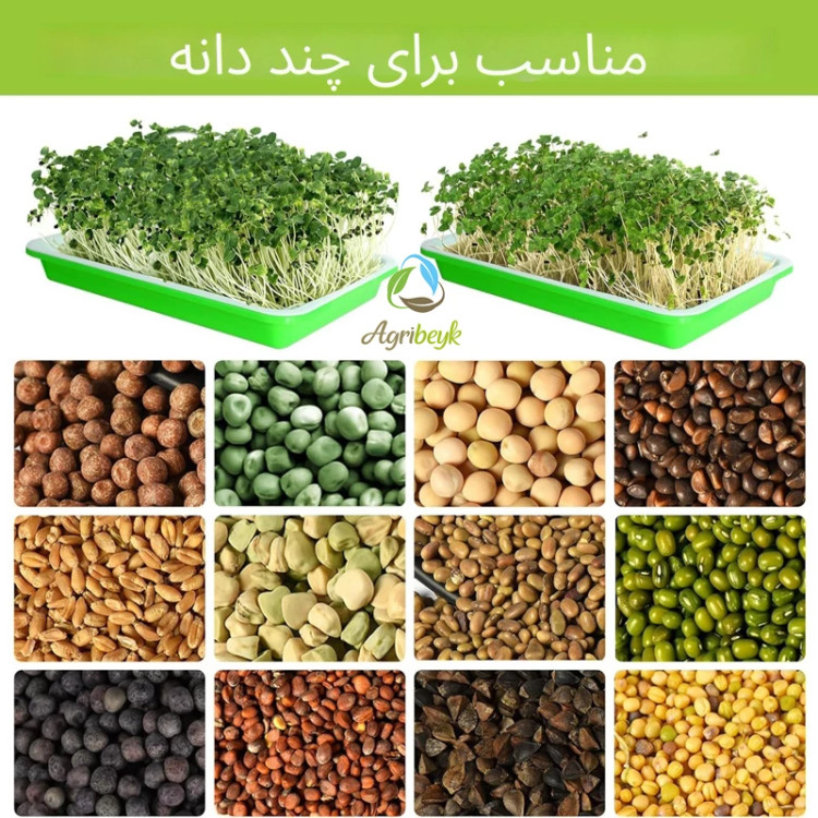 سینی کشت میکرو گیرین خانگی ست سبز و سفید