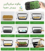 سیستم هوشمند میکرو گرین