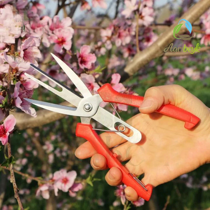 قیچی باغبانی دو لبه