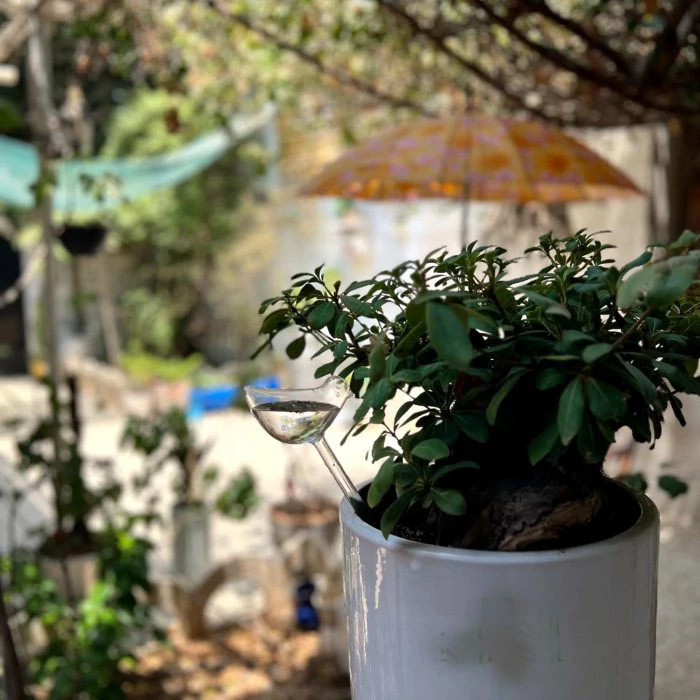 حباب آبیاری / آبیاری خودکار گیاه