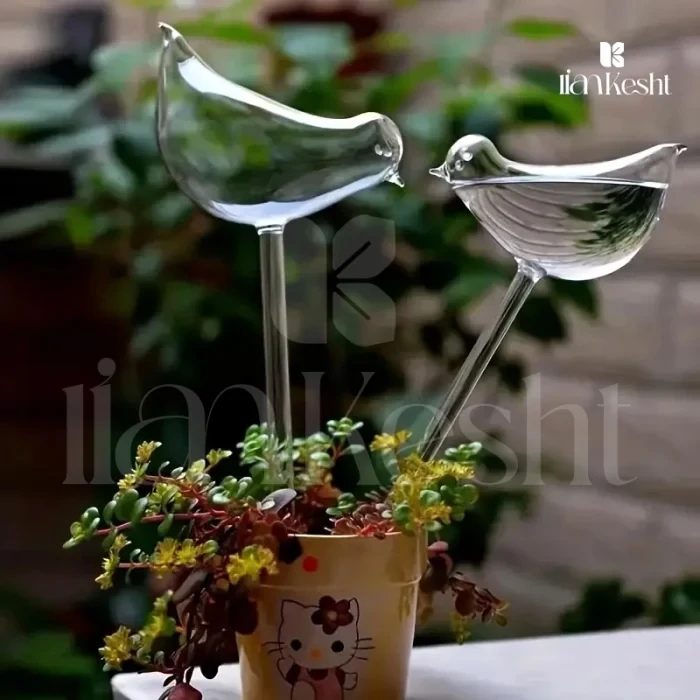 حباب آبیاری / آبیاری خودکار گیاه