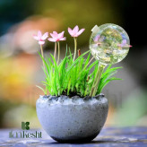 حباب آبیاری / آبیاری خودکار گیاه