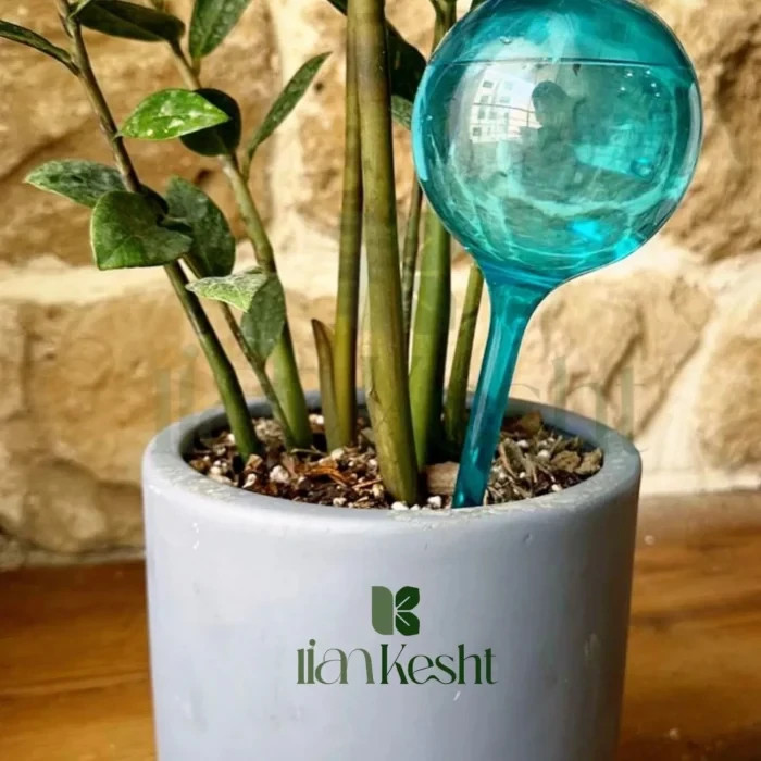 حباب آبیاری / آبیاری خودکار گیاه