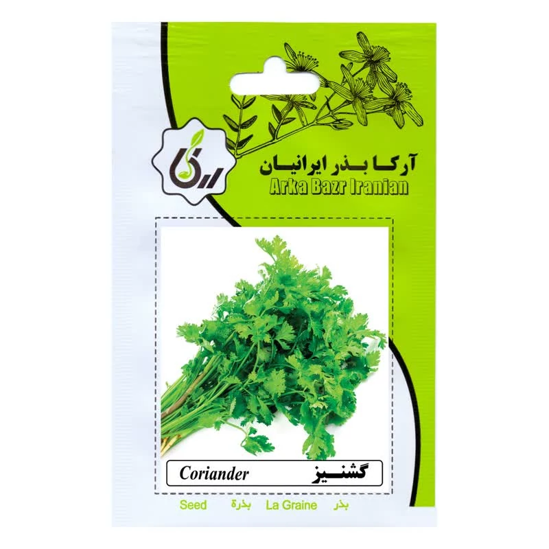 بذر گشنیز