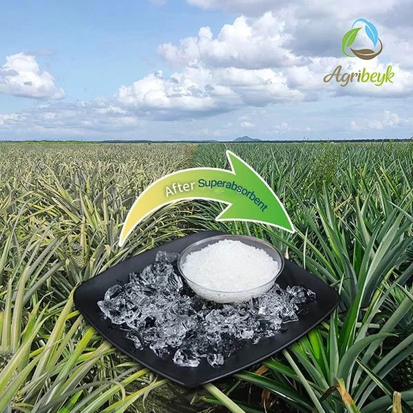 سوپر جاذب کشاورزی / هیدرو ژل بر پایه پتاس