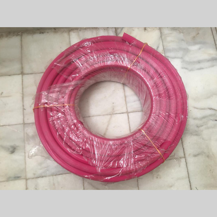 شلنگ نقش جهان مدل نخ دار 1 اینچ طول 50 متر