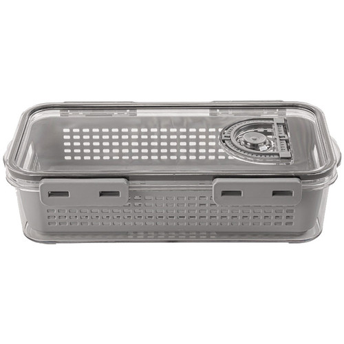 ظرف نگهدارنده لیمون مدل تاریخ دار کد DH2377