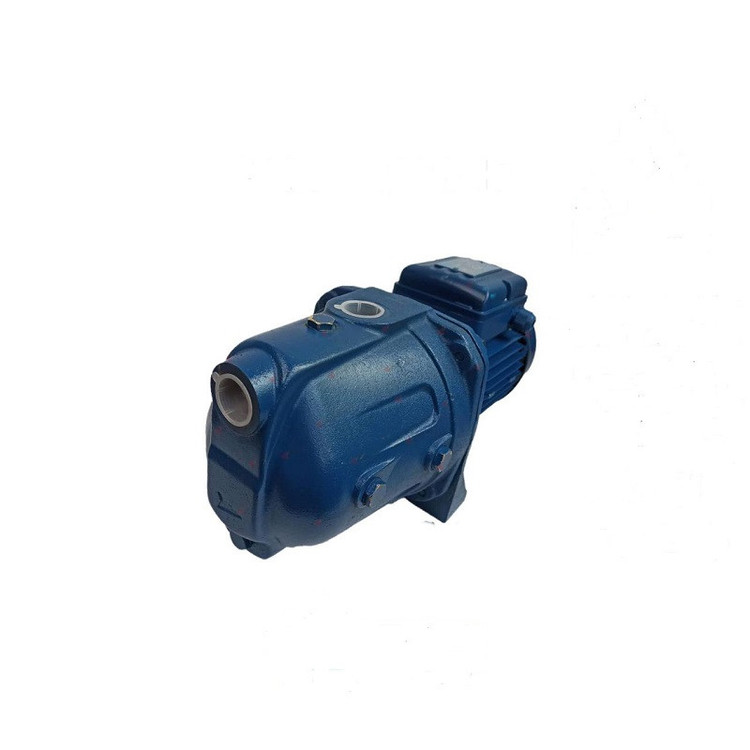 پمپ آب پنتاکس مدل CAM100N/00