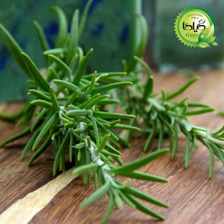 بذر سبزی خوردن گیلدا کد 097 مجموعه 10 عددی