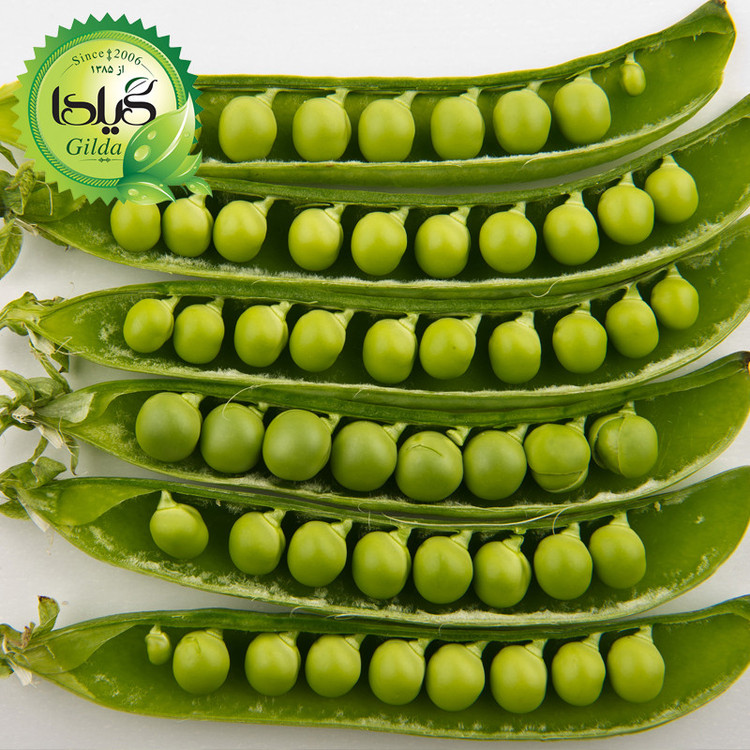 بذر صیفی جات گلدانی گیلدا کد 094 مجموعه 10 عددی