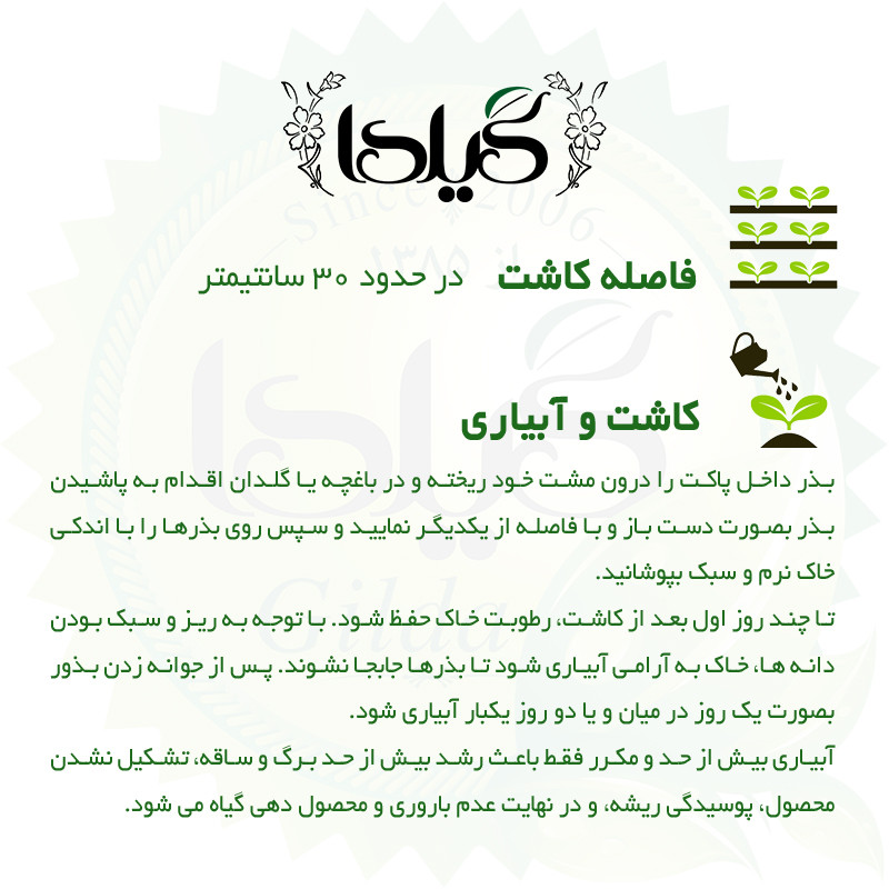 بذر اسطوخودوس گیلدا کد 173