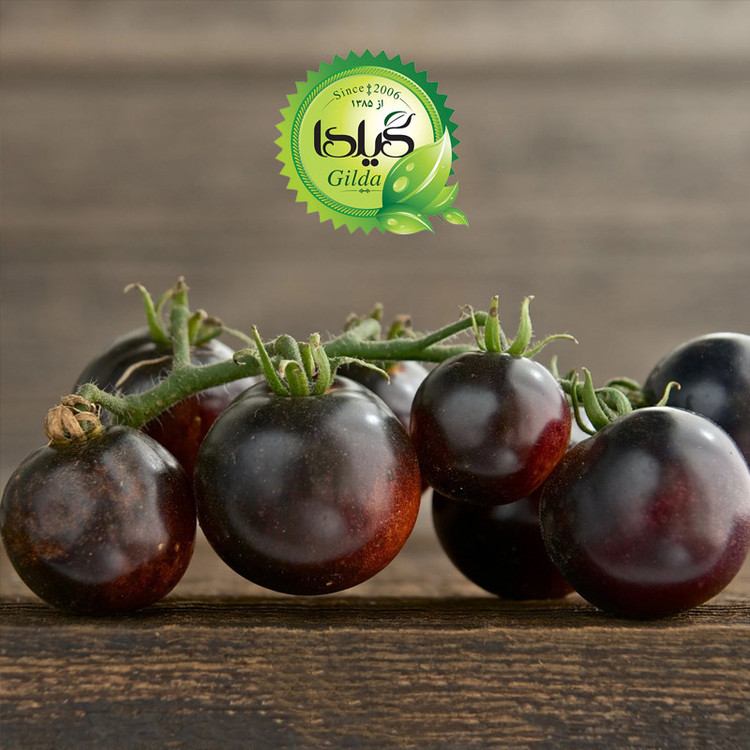 بذر گوجه چری مشکی گیلدا کد 580