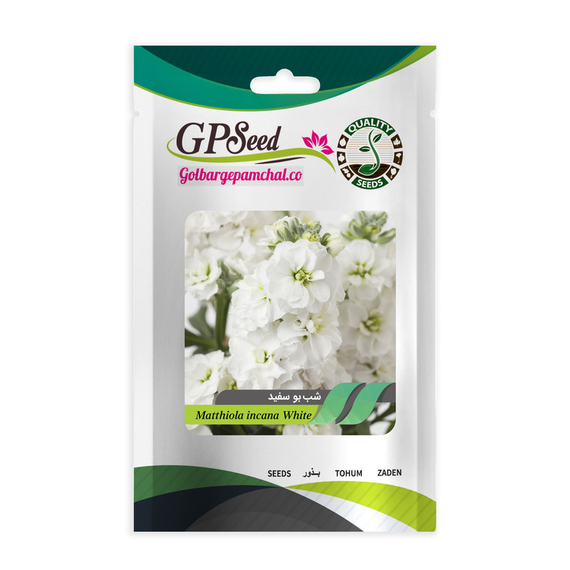 بذر گل شب بو همه رنگ گلدانی گلبرگ پامچال کد G-P-GP-08 مجموعه 8 عددی