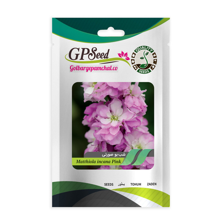 بذر گل شب بو همه رنگ گلدانی گلبرگ پامچال کد G-P-GP-08 مجموعه 8 عددی