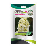بذر گل شب بو همه رنگ گلدانی گلبرگ پامچال کد G-P-GP-08 مجموعه 8 عددی