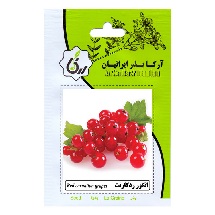 بذر میوه های لوکس و استوایی آرکا بذر ایرانیان کد ARK-A-ARK-012 وزن 100 گرم مجموعه 12 عددی
