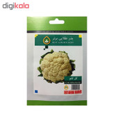 بذر کلم و کاهو بذر طلایی برتر کد P-KK-BZT-08 مجموعه 5 عددی