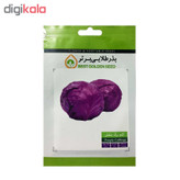 بذر کلم و کاهو بذر طلایی برتر کد P-KK-BZT-08 مجموعه 5 عددی