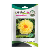 بذر گل ناز آفتابی پرفروش گلدانی گلبرگ پامچال کد G-P-GP-06 مجموعه 6 عددی