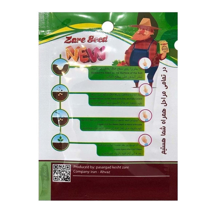 بذر گل داوودی پاسارگاد کشت زارع کد zs156