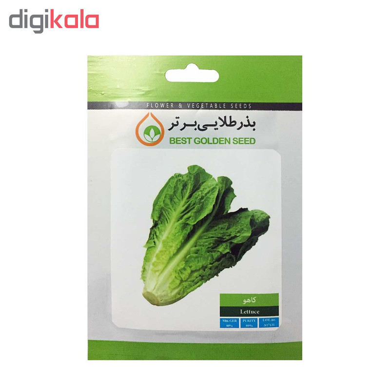 بذر کاهو بذر طلایی برتر کد BZT-72