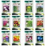 بذر گل های باغچه ای و گلدانی رونده با رویش آسان گلبرگ پامچال کد G-P-GP-012 مجموعه 12 عددی