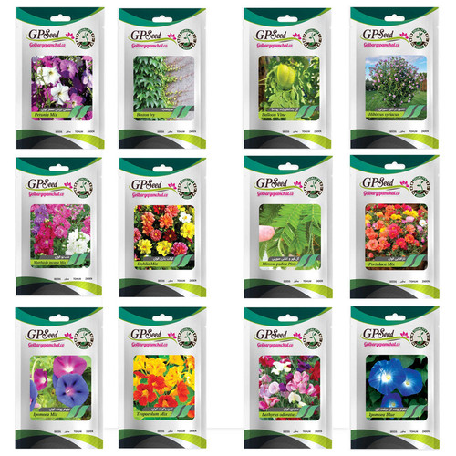 بذر گل های باغچه ای و گلدانی رونده با رویش آسان گلبرگ پامچال کد G-P-GP-012 مجموعه 12 عددی