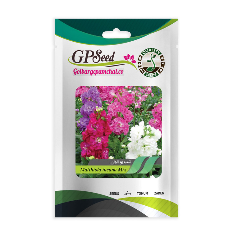 بذر گل های باغچه ای و گلدانی رونده با رویش آسان گلبرگ پامچال کد G-P-GP-012 مجموعه 12 عددی