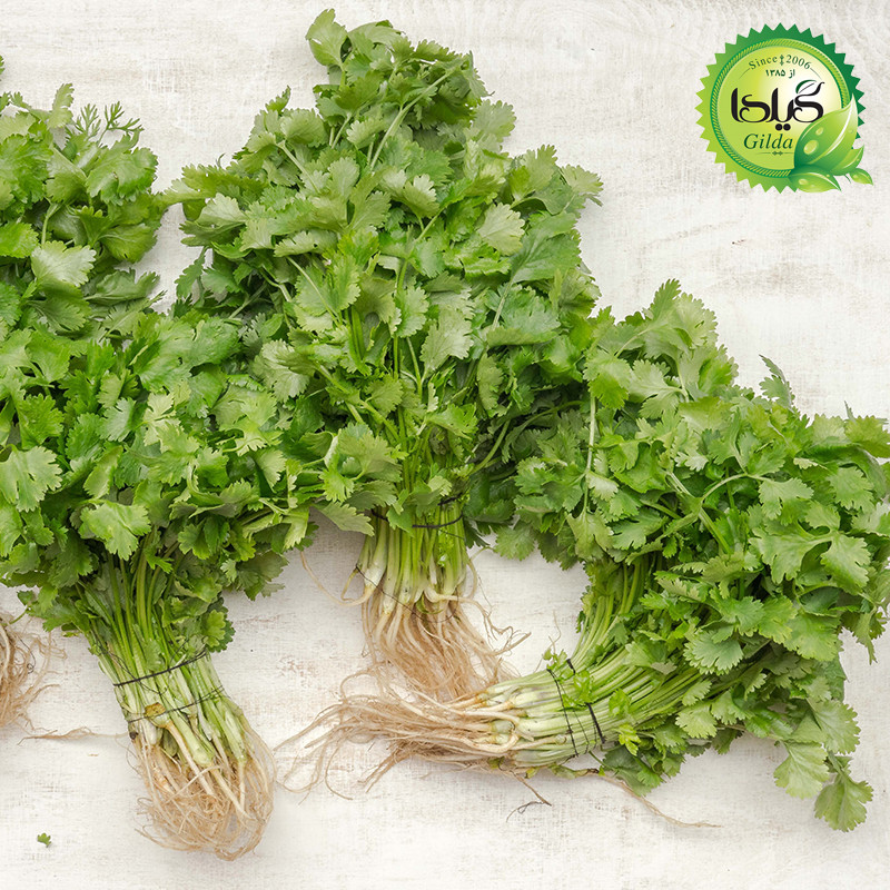 بذر سبزی آش گیلدا کد 098 مجموعه 5 عددی