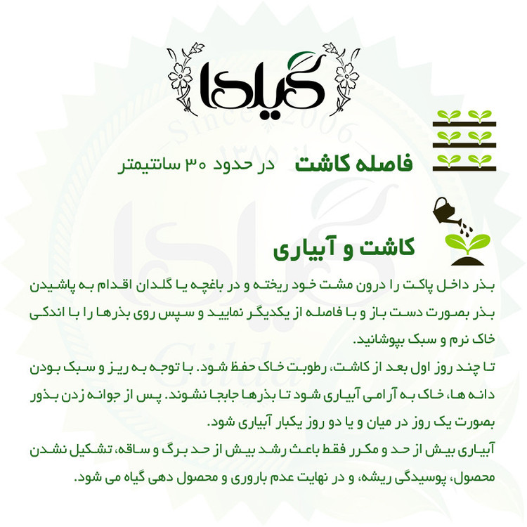 بذر آویشن باغی گیلدا کد 170