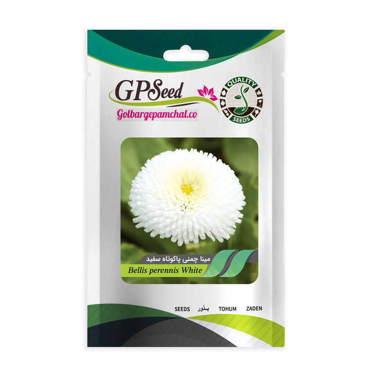 بذر گل مینا و مینا چمنی همه رنگ گلدانی گلبرگ پامچال کد G-P-GP-08 مجموعه 8 عددی