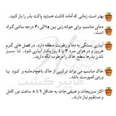 بذر سبزیجات خوراکی گرین سیدز کد 2003 مجموعه 8 عددی