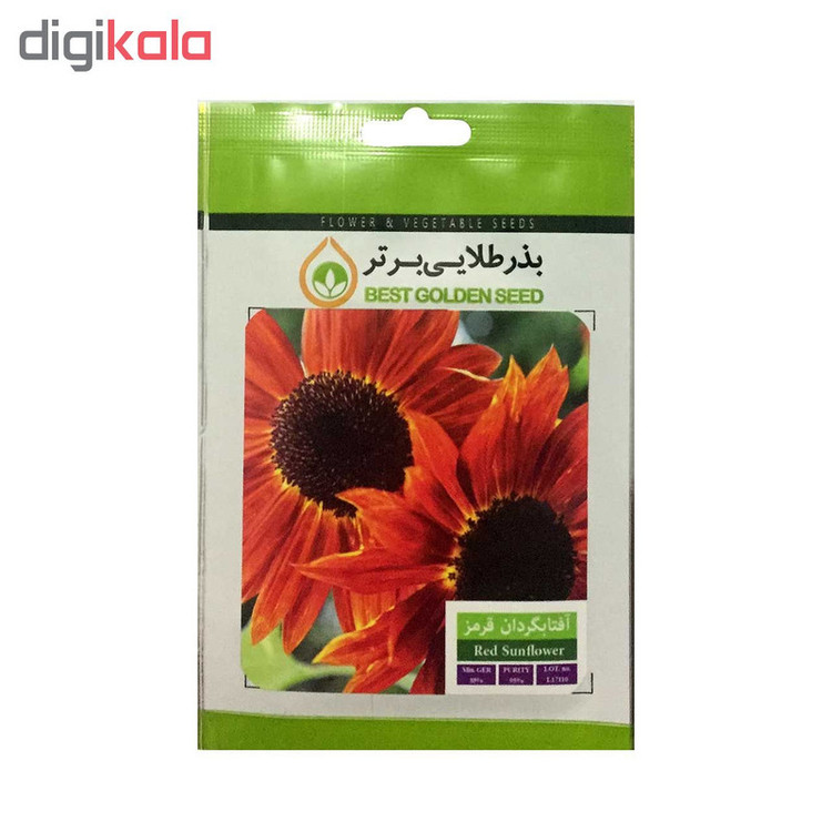 بذر گل آفتابگردان قرمز بذر طلایی برتر کد BZT-02