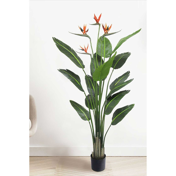 بذر گل پرنده بهشتی فصل سبز کد FSSEED-32