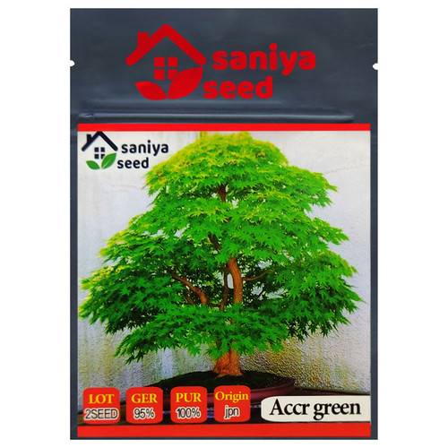 بذر بنسای افرا سبز ژاپنی سانیا سید مدل S5