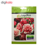 بذر گل بذر طلایی برتر کد P-G-BZT-06 مجموعه 6 عددی
