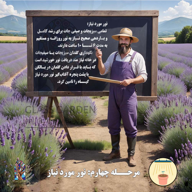 بذر میوه توت فرنگی گلدانی گلس گاردن مدل GL50