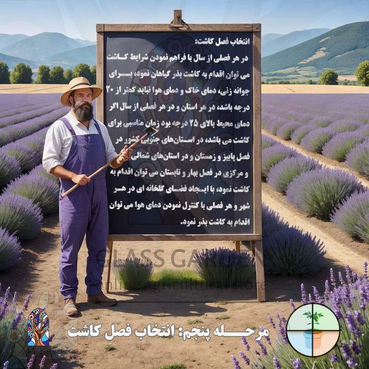 بذر میوه توت فرنگی گلدانی گلس گاردن مدل GL50