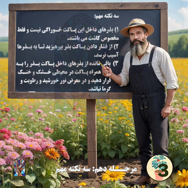 بذر میوه توت فرنگی گلدانی گلس گاردن مدل GL50
