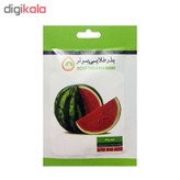 بذر هندوانه کریمسون بذر طلایی برتر کد BZT-84