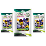 بذر گل بنفشه گل درشت الوان گلبرگ پامچال کد GPF-025 مجموعه 3 عددی