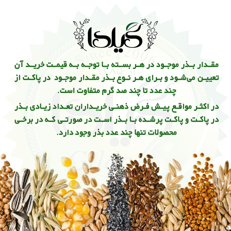 بذر گشنیز گیلدا کد 110